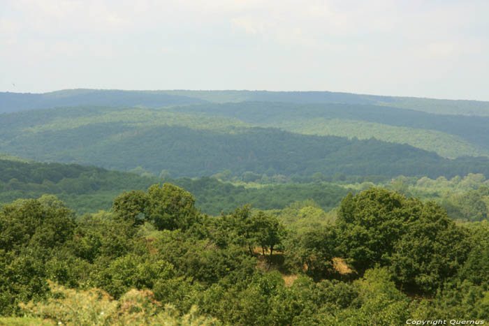 P.Veleka Valley Sinemorets / Bulgaria 