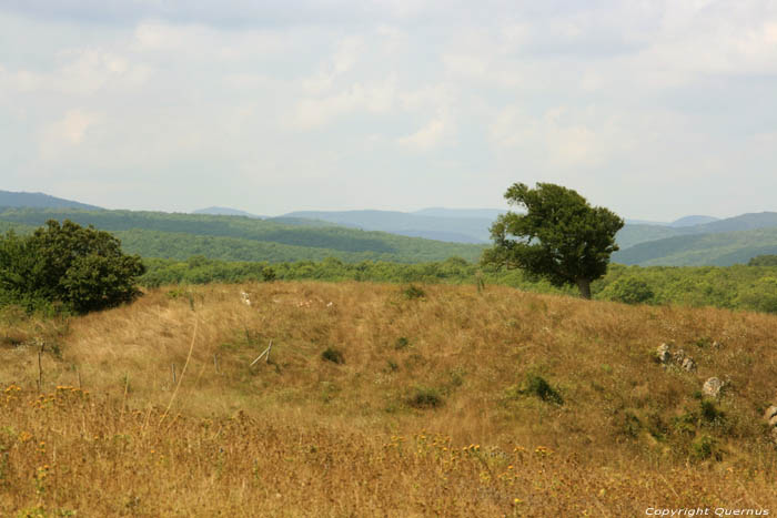 Vue avec arbre Sinemorets / Bulgarie 