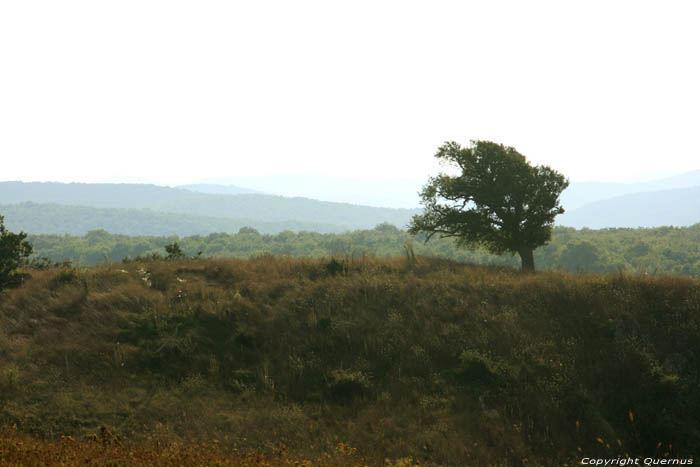 Vue avec arbre Sinemorets / Bulgarie 