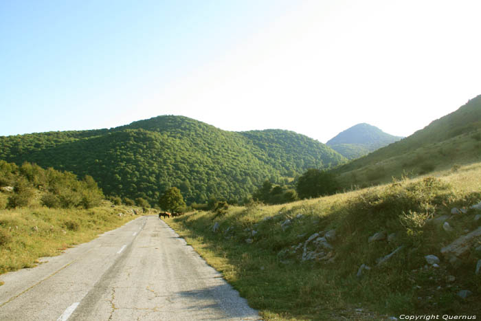 Paarden in Vratsa Balkan Chelopech in Vratza / Bulgarije 