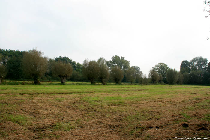 Bourgoyen - Ossemeersen natuurreservaat GENT / BELGI 