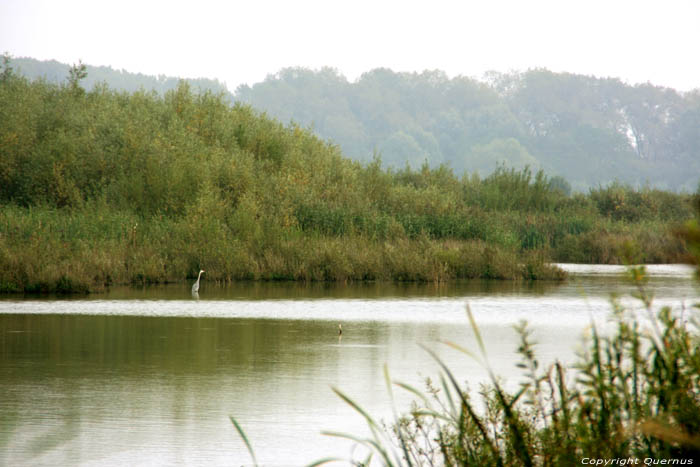 Nature park Bourgoyen - Ossemeersen GHENT / BELGIUM 