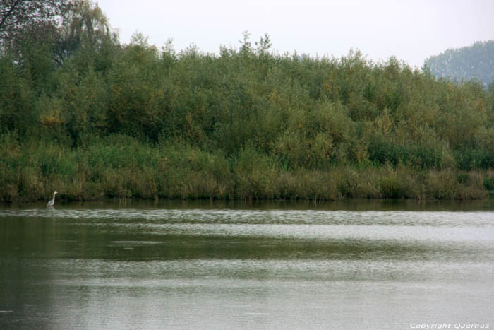 Nature park Bourgoyen - Ossemeersen GHENT / BELGIUM 