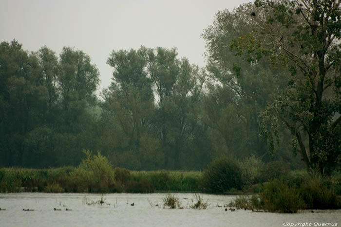 Bourgoyen - Ossemeersen natuurreservaat GENT foto 