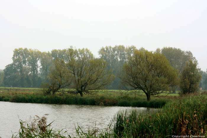 Nature park Bourgoyen - Ossemeersen GHENT / BELGIUM 