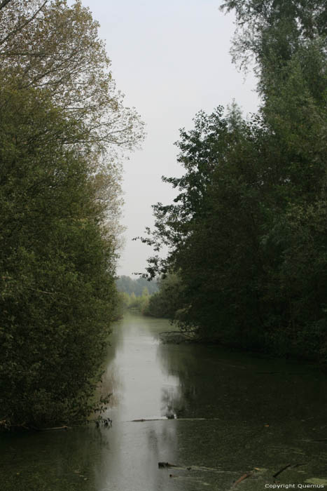 Ruisseau en Bougoyen GAND photo 
