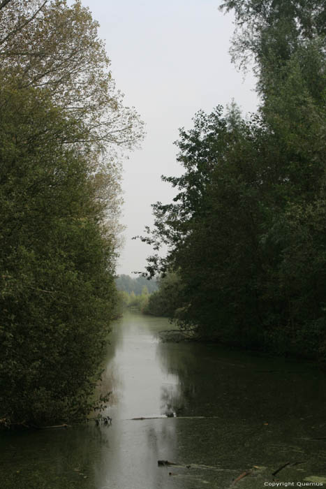 Ruisseau en Bougoyen GAND / BELGIQUE 