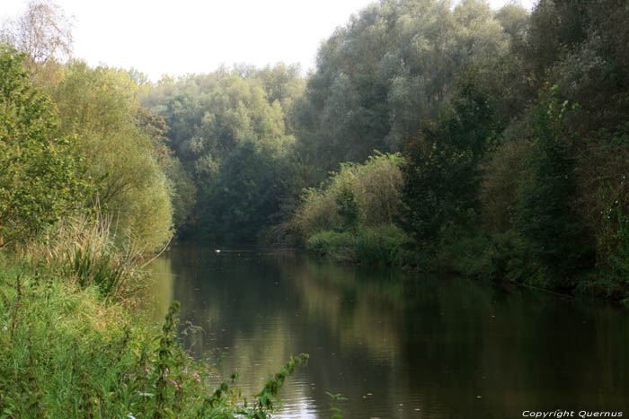 Leie rivier GENT foto