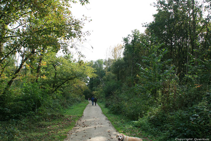 Liedekerke en Hertigembos LIEDEKERKE / BELGI 