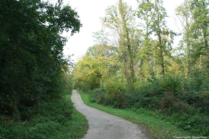 Forêt de Liedekerke et de Hertigem LIEDEKERKE photo 