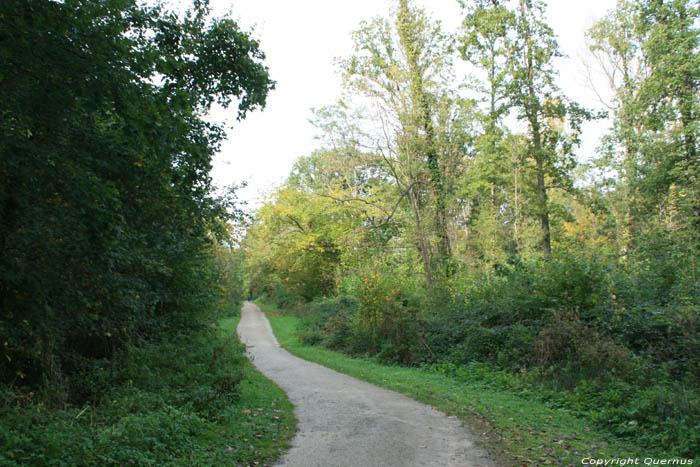 Liedekerke and Hertigem Forest LIEDEKERKE picture 