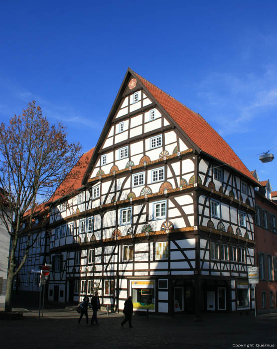 In the Rose (Zur Rose) & Freiligrath House (Freiligrath Hause) Soest / Germany 