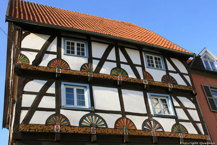 In the Rose (Zur Rose) & Freiligrath House (Freiligrath Hause) Soest / Germany 