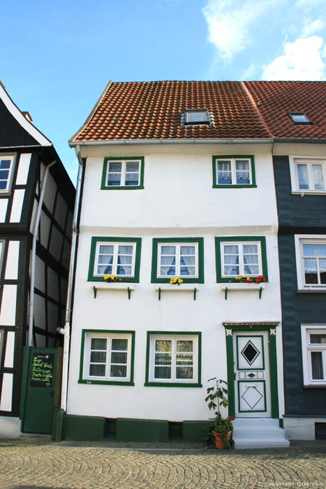 House with Flowers Soest / Germany 