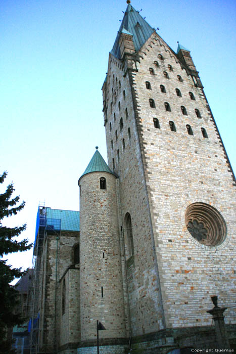 Dom - Onze-Lieve-Vrouw - Sint-Liborius en Sint-Kilian kathedraal Paderborn / Duitsland 