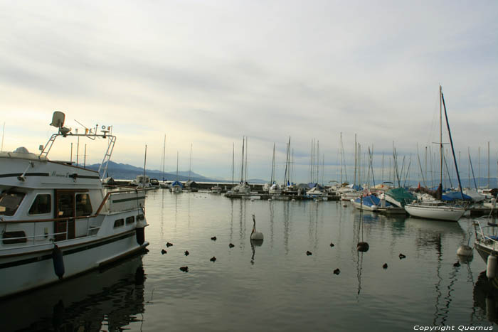 Yaght Harbor Lutry / Switzerland 