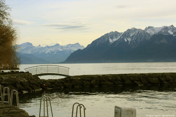 View on Geneva's Lake Lutry / Switzerland 