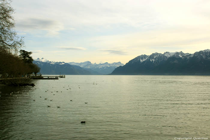 Vue sur Lac Lman Lutrives / Suisse 