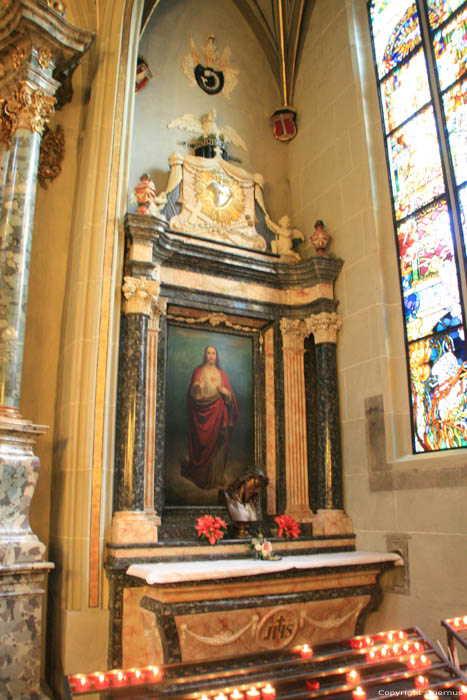 Sint-Nicolaascathedraal Fribourg/Vrijburg / Zwitserland 