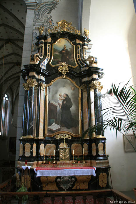 Fanciscanen kerk Fribourg/Vrijburg / Zwitserland 