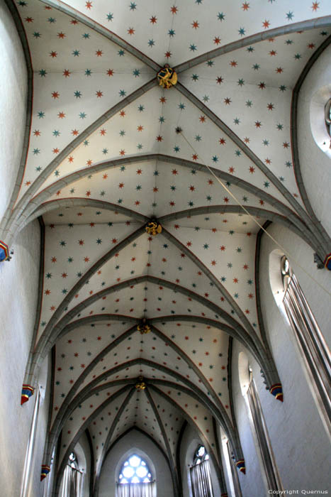 Fanciscanen kerk Fribourg/Vrijburg / Zwitserland 