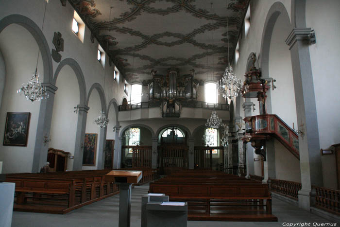 Fanciscanen kerk Fribourg/Vrijburg / Zwitserland 