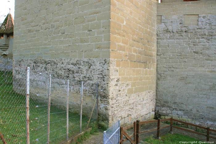 City Walls - Cat Towers Fribourg / Switzerland 