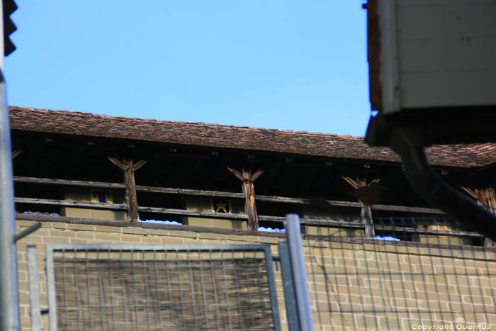 City Walls - Cat Towers Fribourg / Switzerland 