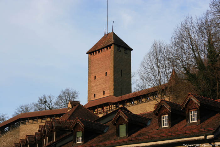 City Walls - Cat Towers Fribourg / Switzerland 