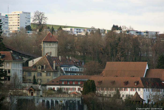 Tower Fribourg / Switzerland 