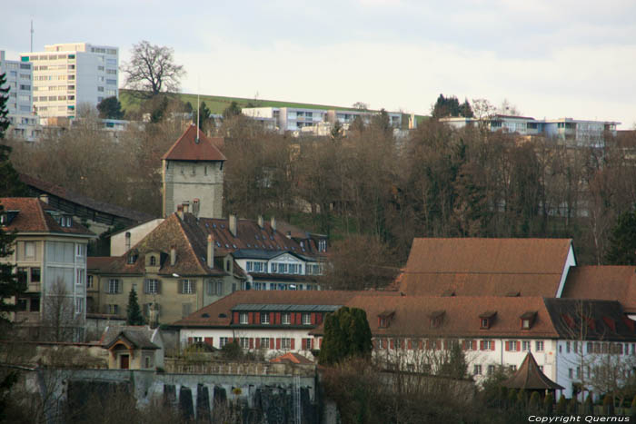 Toren Fribourg/Vrijburg / Zwitserland 