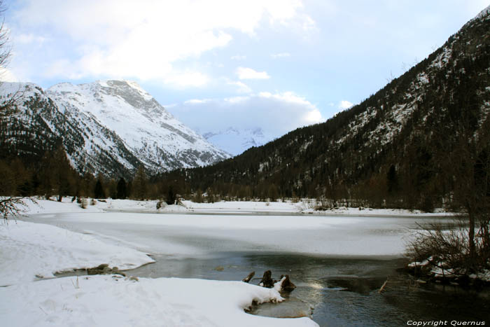 Lake on Montebello Bach Pontresina / Switzerland 