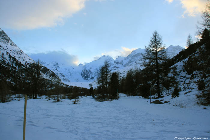 Zicht op Piz Bernina en Morteratsch Gletsjer Pontresina / Zwitserland 