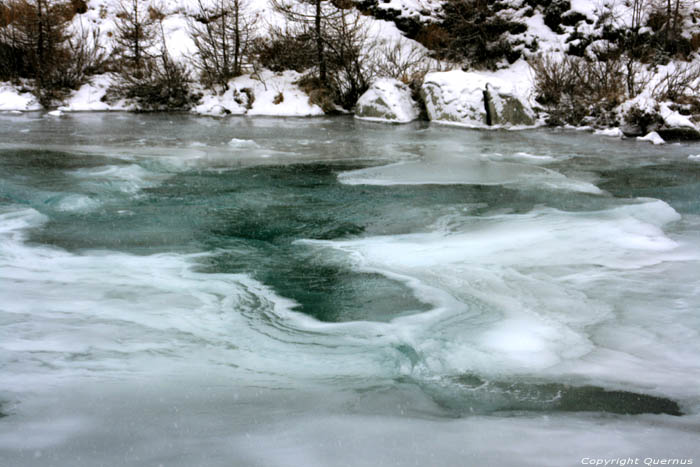 Ova de Bernina Pontresina / Suisse 