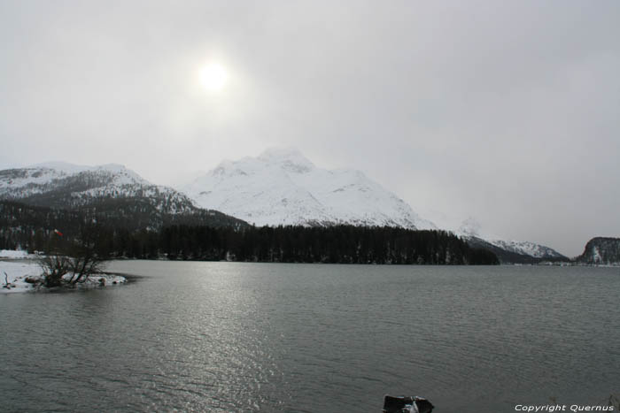 Silsersee Sils im Engadin/Segl / Zwitserland 