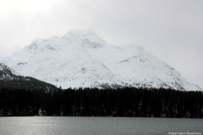 Silsersee Sils im Engadin/Segl / Zwitserland 