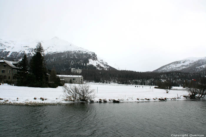 Silsersee Sils im Engadin/Segl / Switzerland 