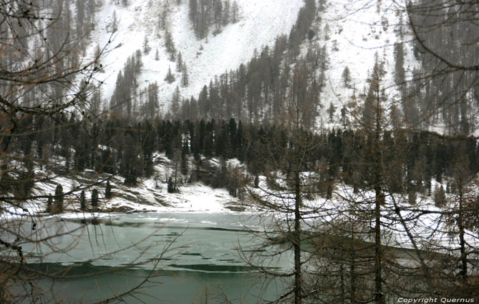 Silsersee Sils im Engadin/Segl / Suisse 