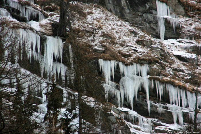 Icicles  Sils im Engadin/Segl / Switzerland 