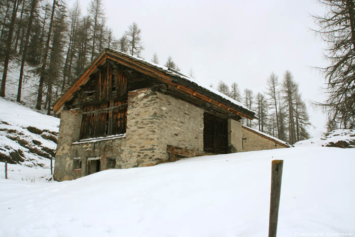 Stable Sils im Engadin/Segl / Suisse 