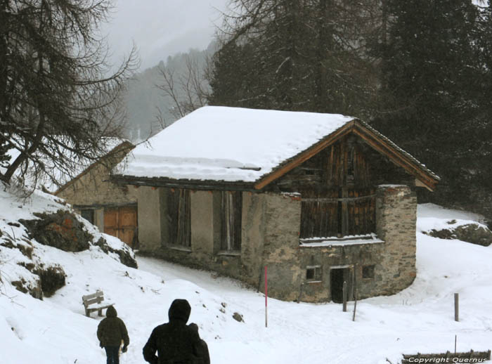 Stable Sils im Engadin/Segl / Suisse 