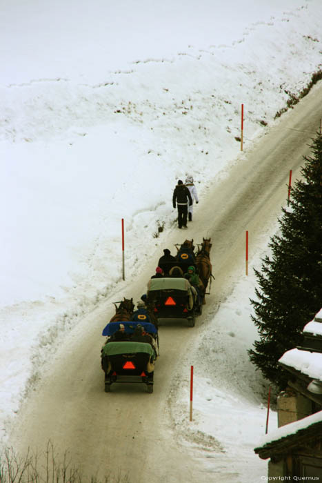 Paardenkoets Sils im Engadin/Segl / Zwitserland 