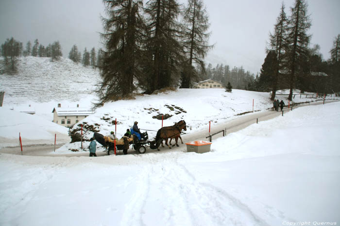Horse carriage Sils im Engadin/Segl / Switzerland 