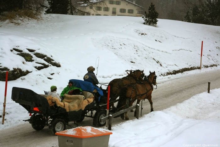 Horse carriage Sils im Engadin/Segl / Switzerland 