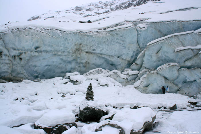 Moteratsch Glacier Tongue Pontresina / Switzerland 