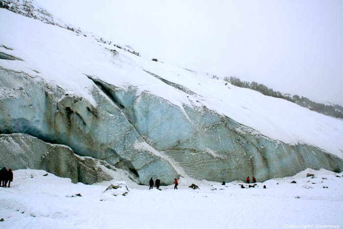 Moteratsch Glacier Tongue Pontresina / Switzerland 