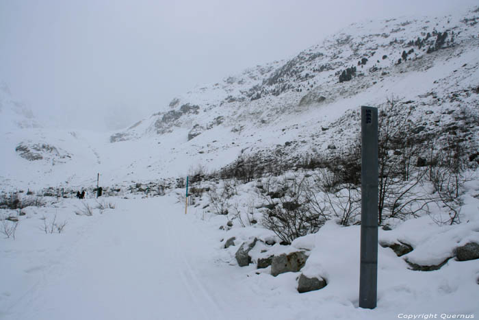 Tong Morteratsch Gletsjer Pontresina / Zwitserland 