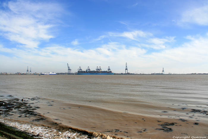 Mary Marex Containerschip Harwich / Engeland 