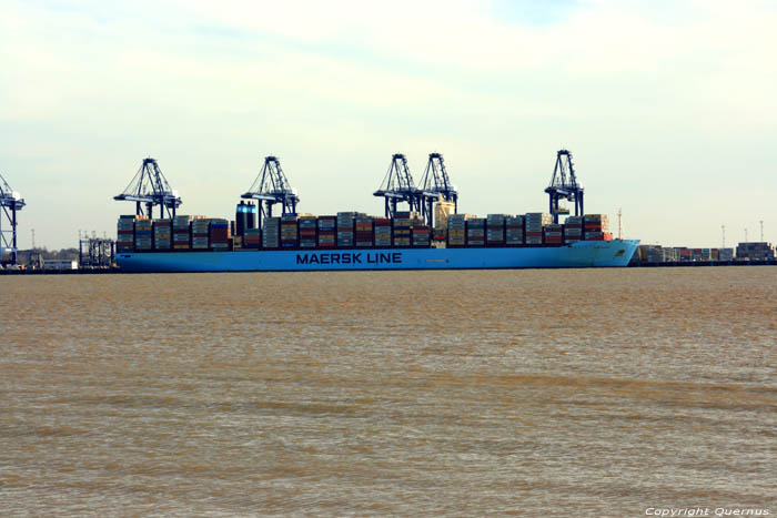 Mary Marex Container ship Harwich / United Kingdom 