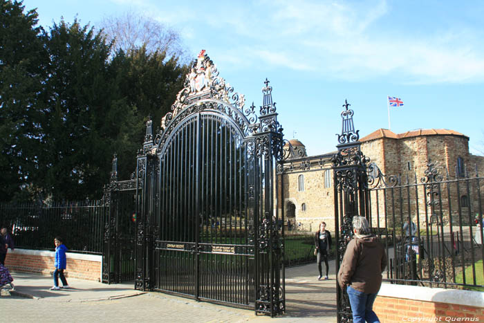 Cowdray Crescent porte Colchester / Angleterre 